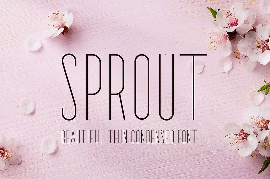 Sprout - Narrow Sans Serif Font